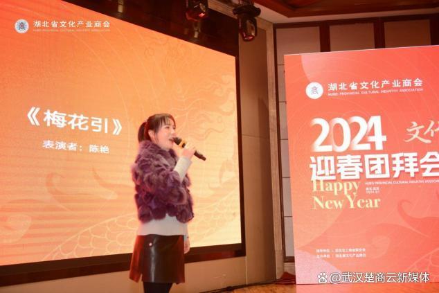 湖北省文化产业商会 2024 迎春团拜会隆重举行(图18)