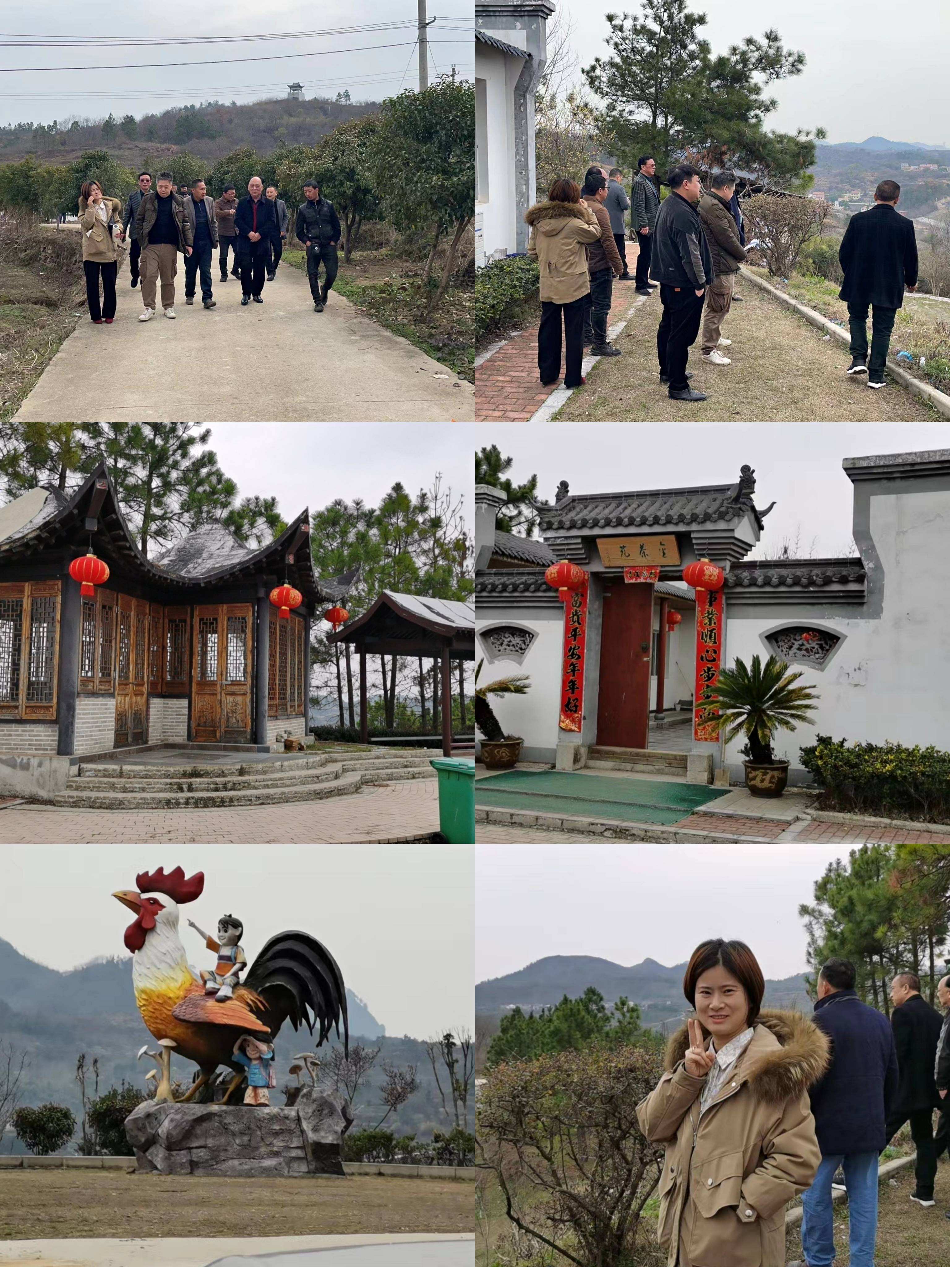 聚各方资源 助乡村振兴 (图4)