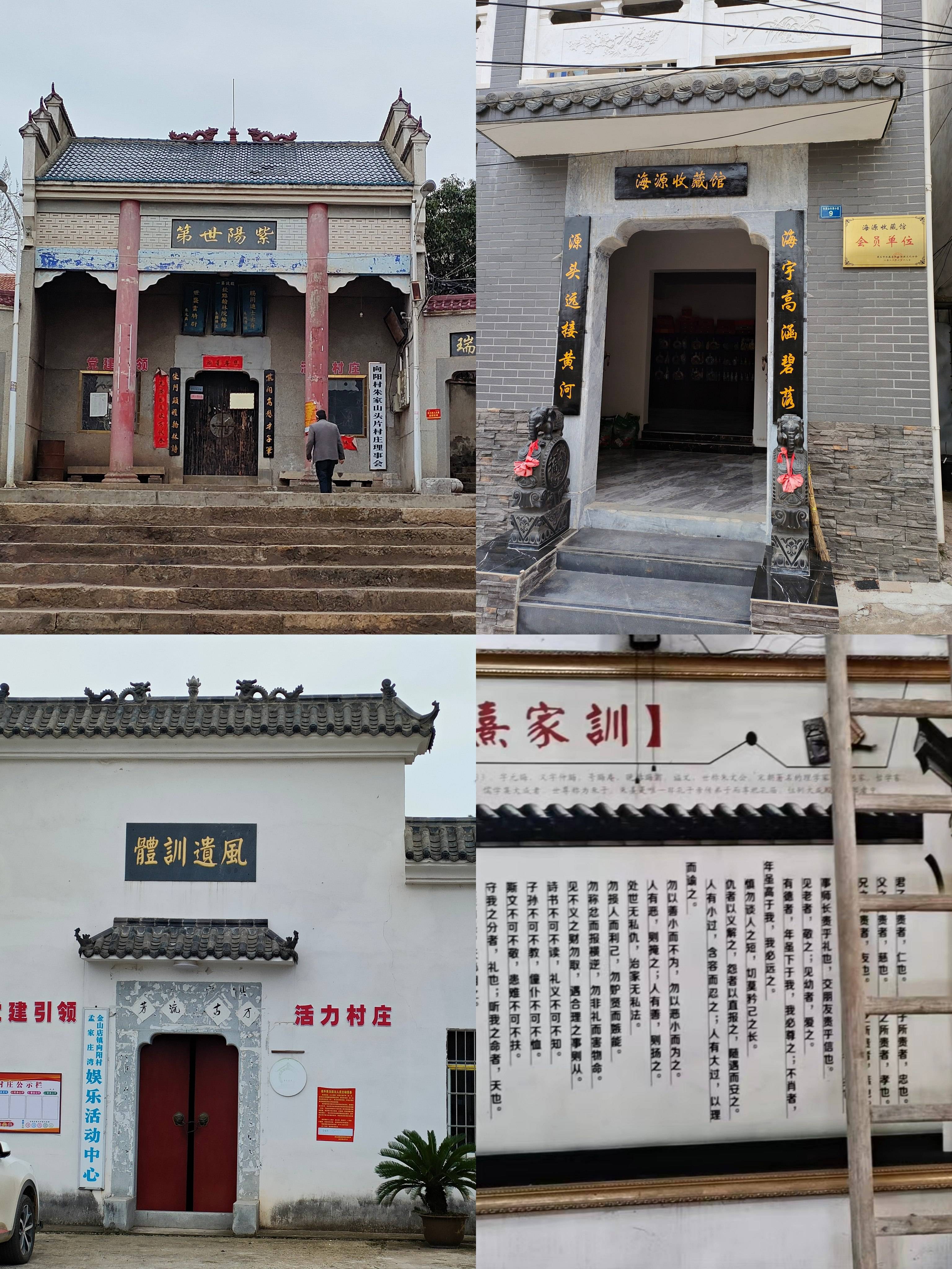 聚各方资源 助乡村振兴 (图3)