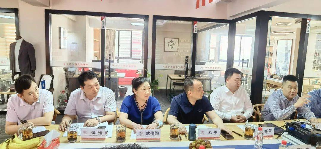 湖北省小微企业商会与孝昌县政府举行对接座谈会(图4)