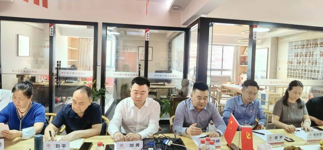 湖北省小微企业商会与孝昌县政府举行对接座谈会(图5)