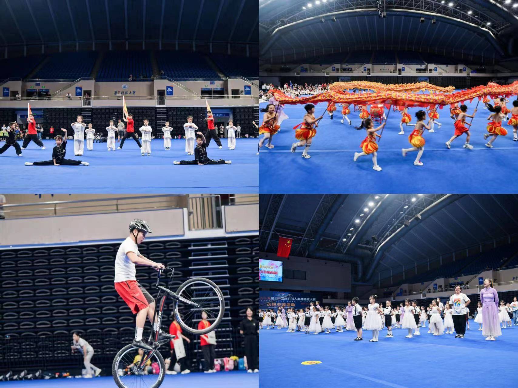 第二十五届IRO国际机器人奥林匹克大赛湘鄂选拔活动在武汉举办 (图8)