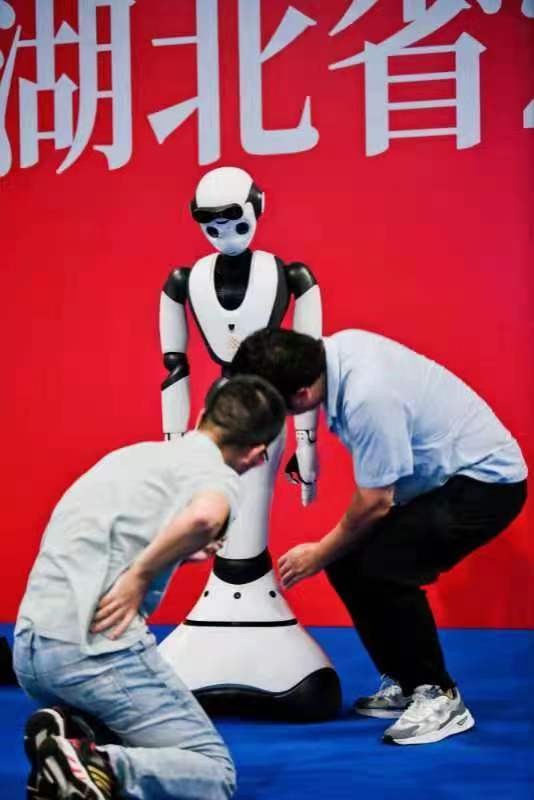 第二十五届IRO国际机器人奥林匹克大赛湘鄂选拔活动在武汉举办 (图11)