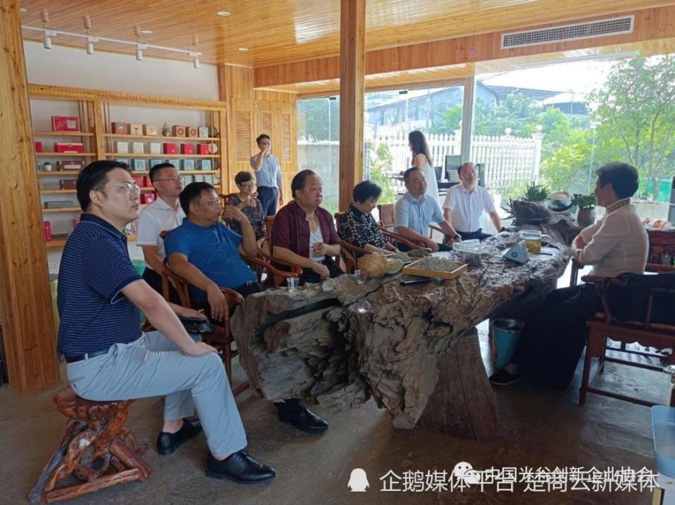 中国光谷创新企业协会携光谷知识产权研究院考察来凤藤茶产业(图6)