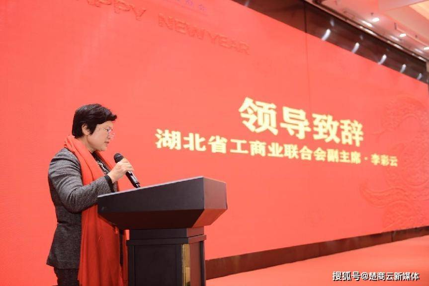 “凝心聚力·逆势飞扬”湖北省文化产业商会第四届第二次会员大会暨2025年新春年会圆满举行(图2)