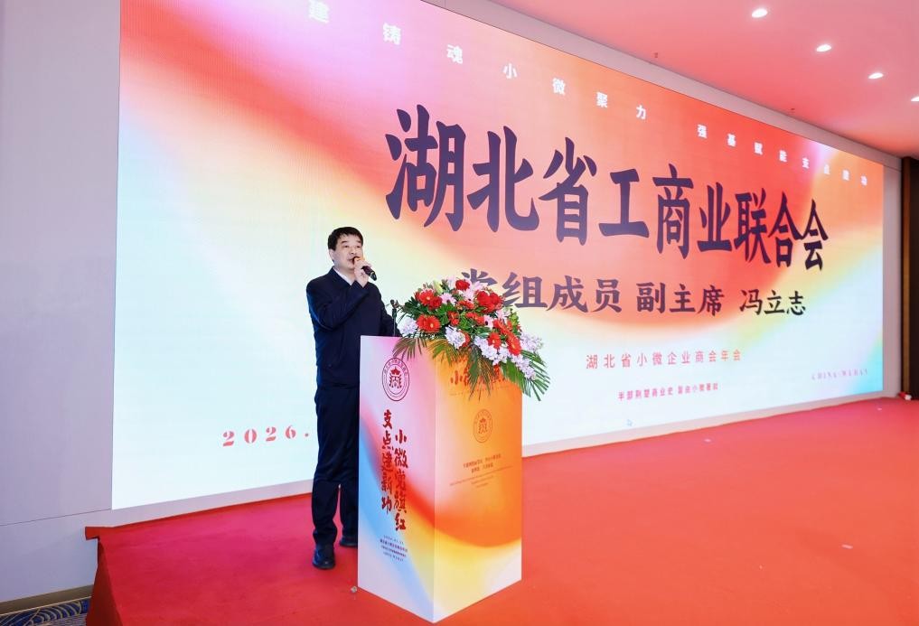 小微党旗红 支点建新功--湖北省小微企业商会年会隆重举行(图3)