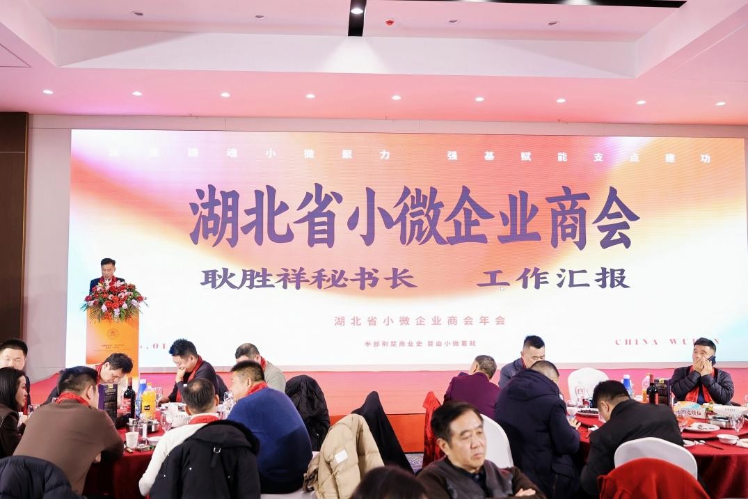 小微党旗红 支点建新功--湖北省小微企业商会年会隆重举行(图5)